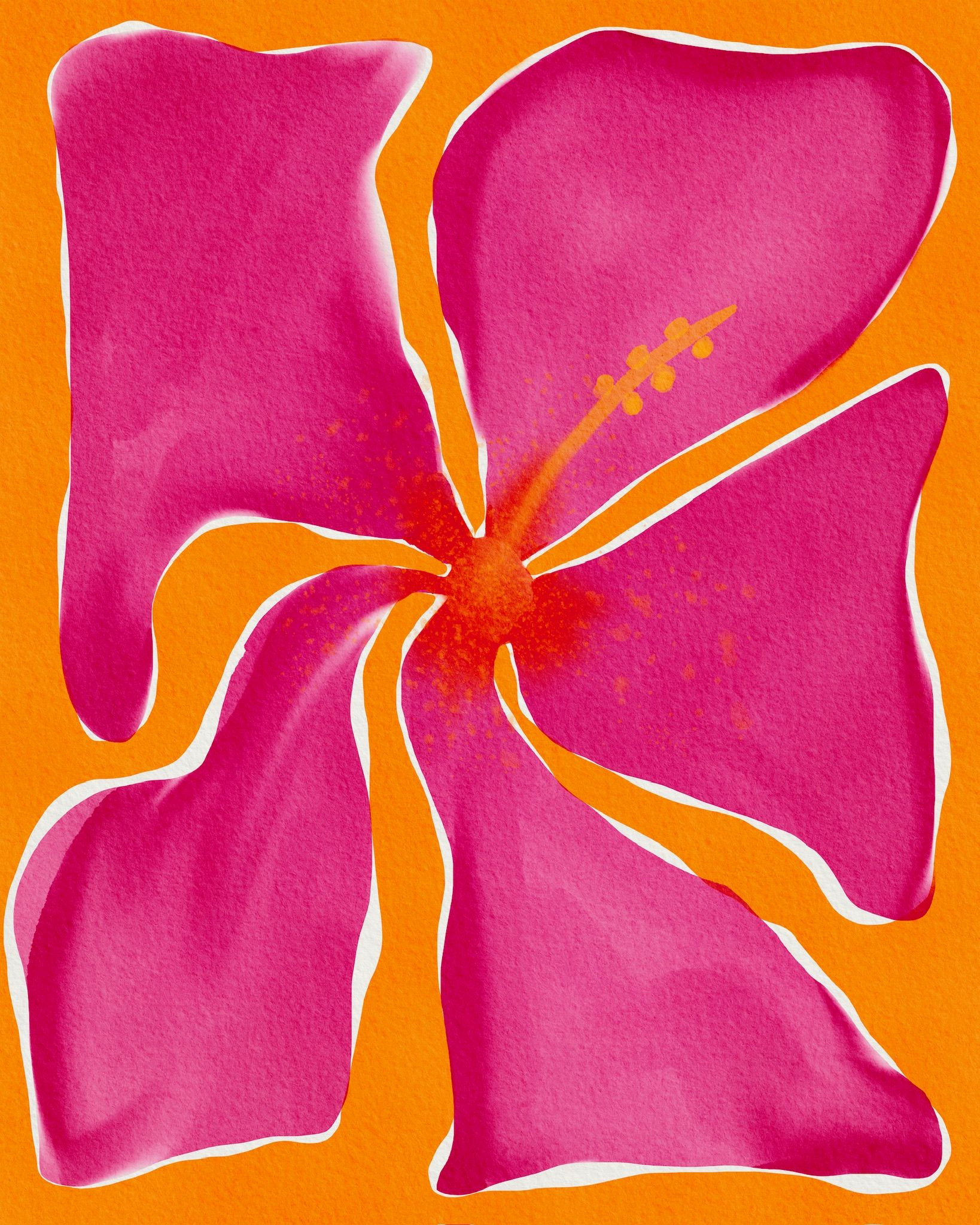 Beautiful Pink Blooms Beautiful Pink Blooms