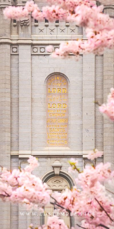 Stunning Salt Lake Temple Blossoms Stunning Salt Lake Temple Blossoms