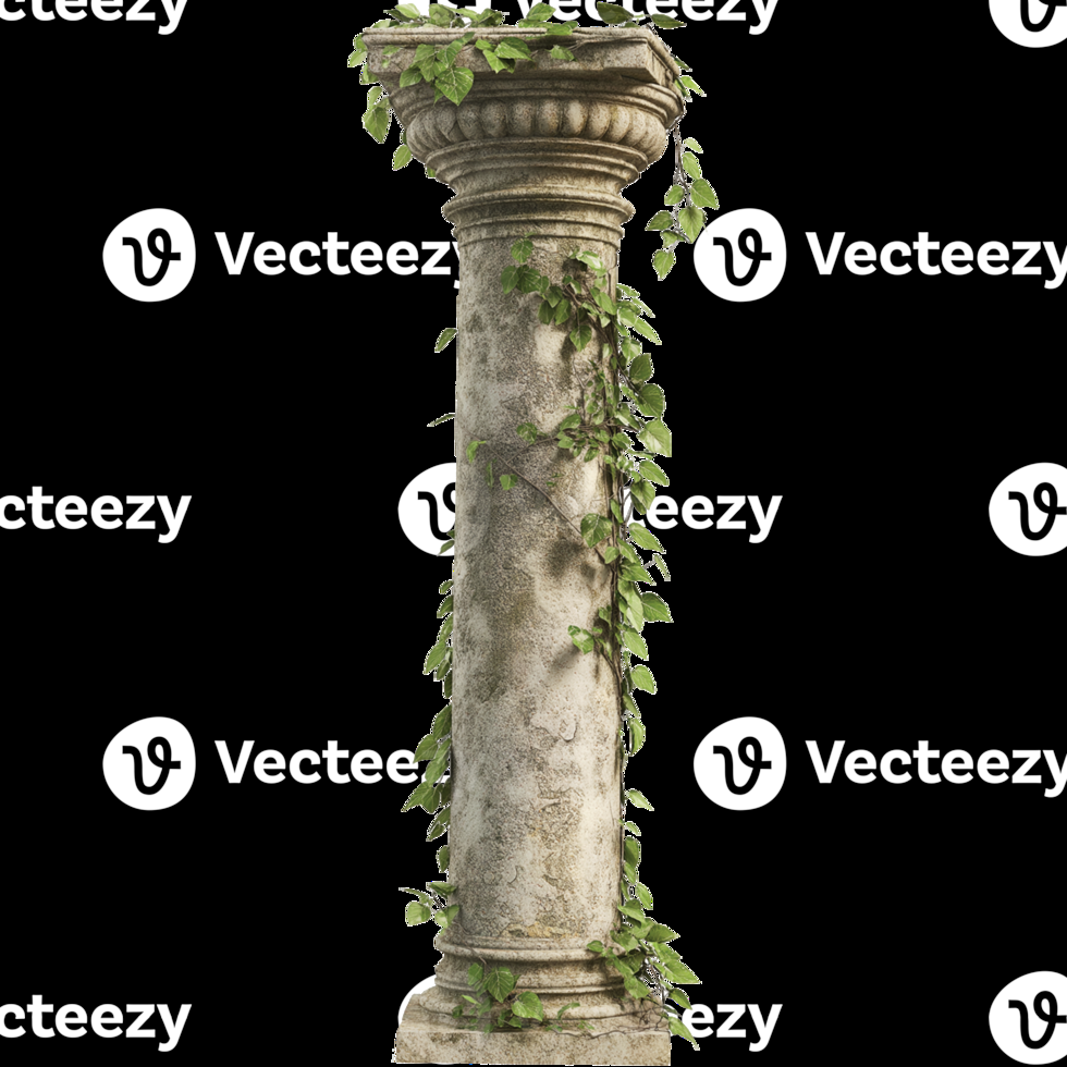 Timeless Classic Column Illustrations Timeless Classic Column Illustrations