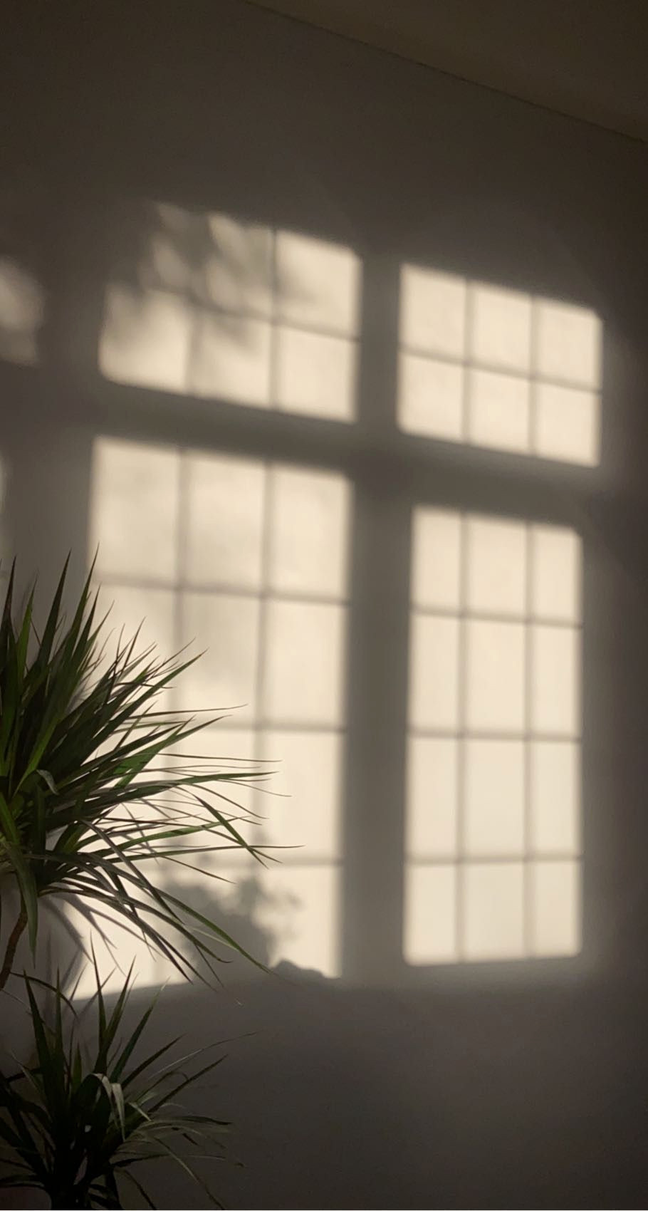 Golden Hour Magic in Minutes Golden Hour Magic in Minutes