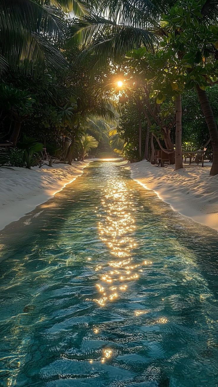 Gorgeous Golden Water Reflections Gorgeous Golden Water Reflections