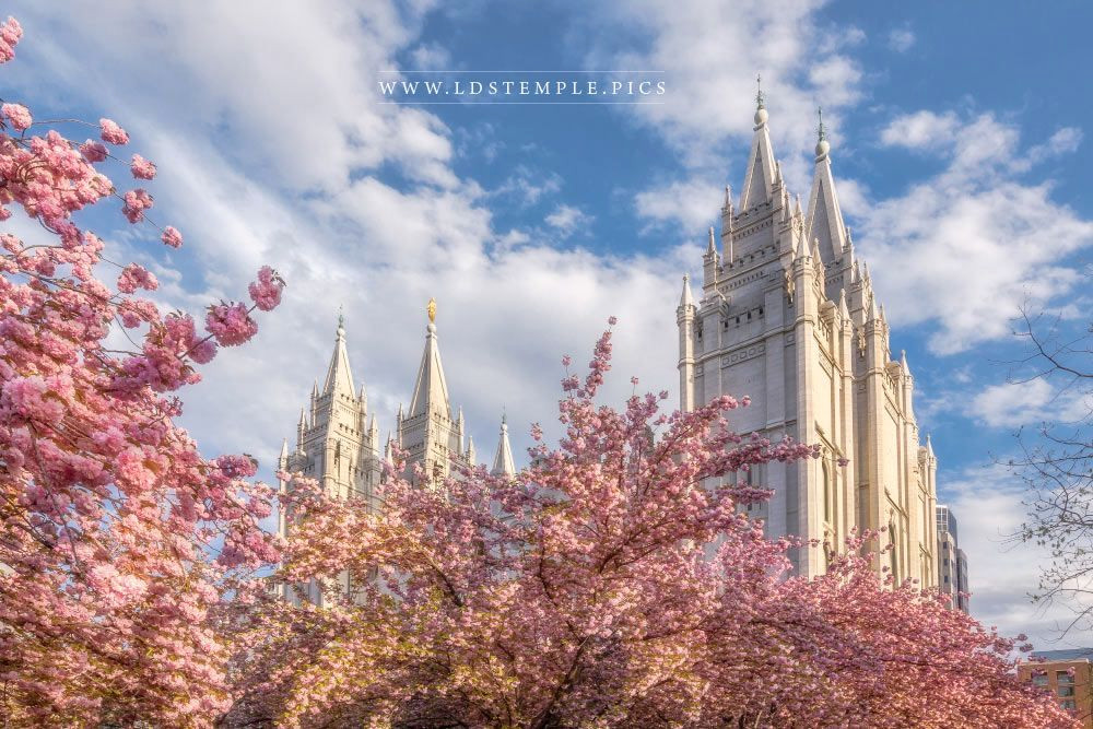 Hidden Gems: Rare Summer Photos of the Salt Lake Temple Hidden Gems: Rare Summer Photos of the Salt Lake Temple