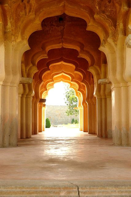Soft Pink Turns Golden in Warm Evening Sunlight Soft Pink Turns Golden in Warm Evening Sunlight