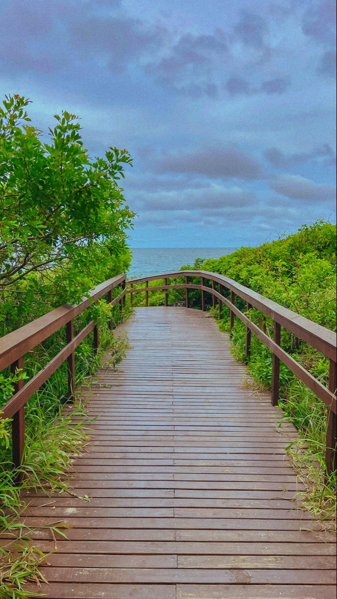 Stunning Taquaras Beach