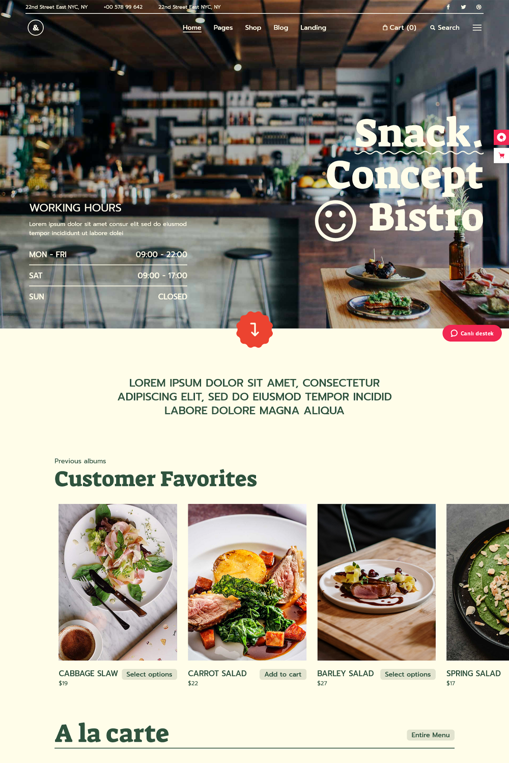Vibrant Restaurant and Juice Bar Themes