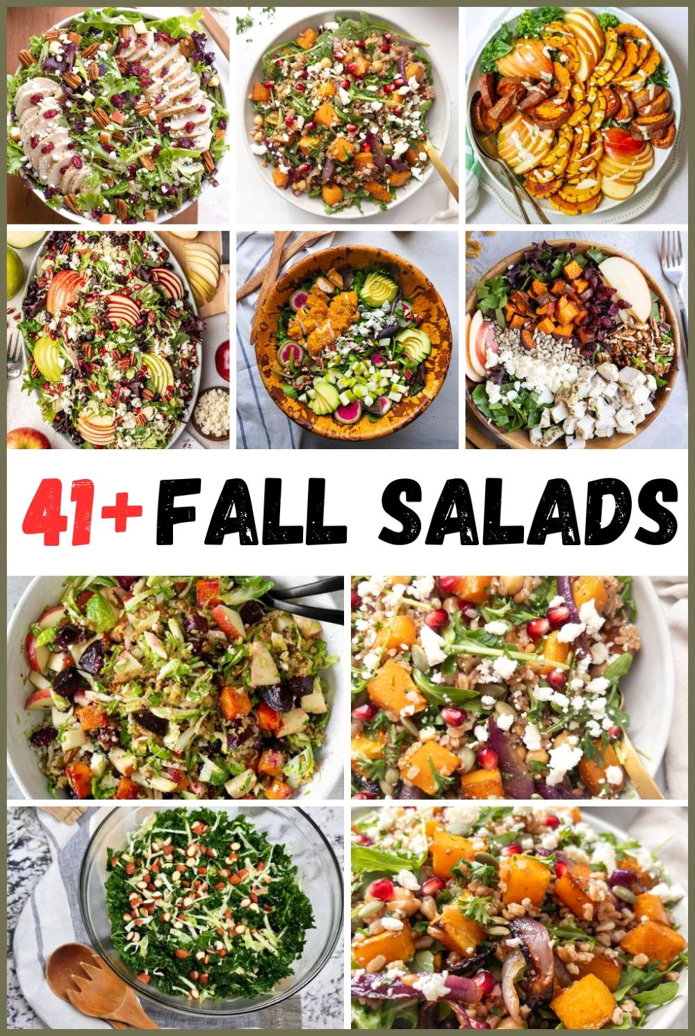 Harvest Fresh: 45 Delicious Fall Salads to Try Now Harvest Fresh: 45 Delicious Fall Salads to Try Now