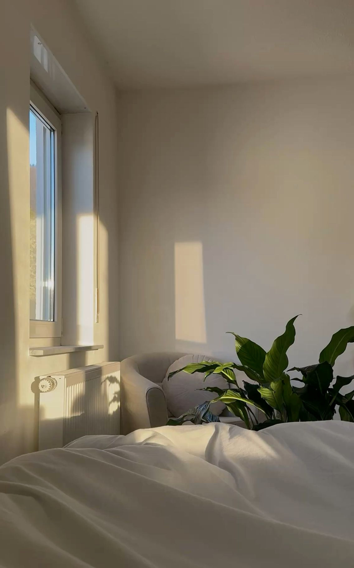 Wake Up to Sunny Mornings Wake Up to Sunny Mornings