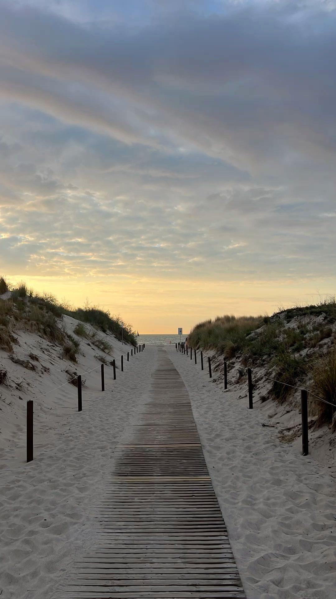 Follow Tessa Gelbrich on Instagram Follow Tessa Gelbrich on Instagram