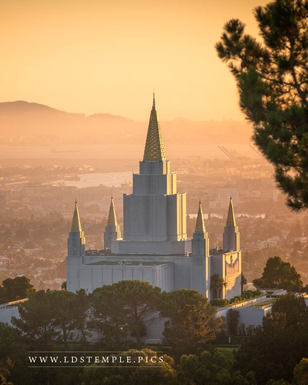 Breathtaking Oakland Temple in Golden Light