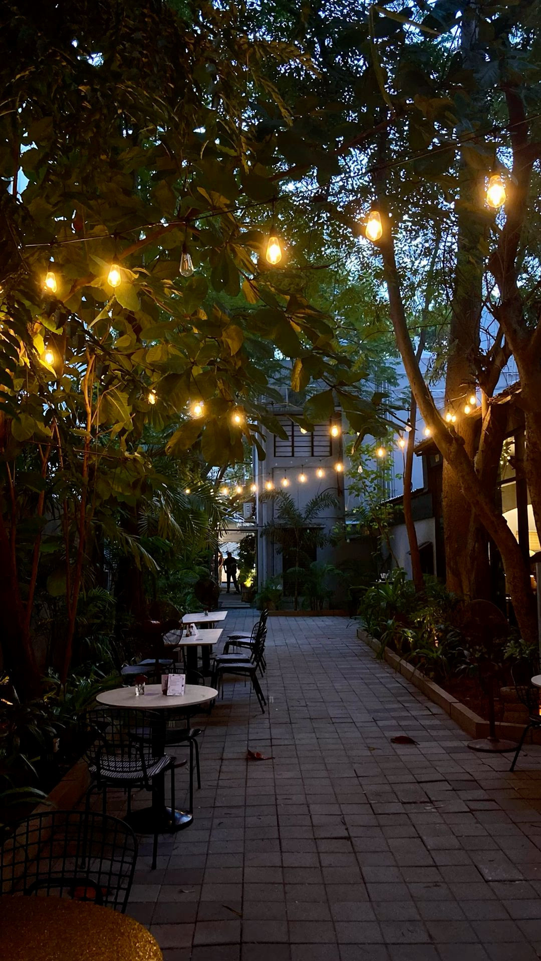Enchanting Cafés with Fairy Lights Enchanting Cafés with Fairy Lights